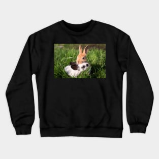 Baby Bunnies! Crewneck Sweatshirt